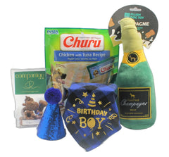 Birthday Boy Bandana & Bubbles Dog Gift Box