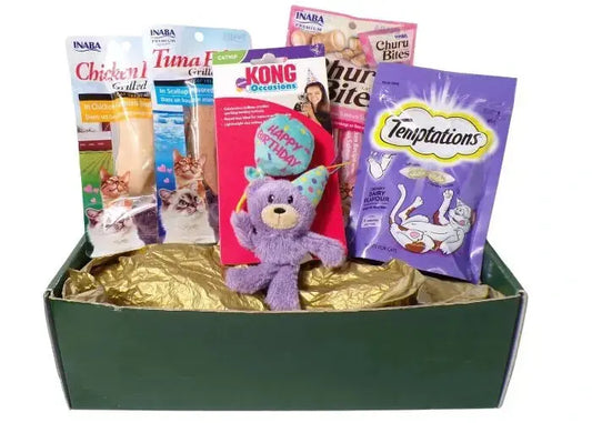 healthy dog treats