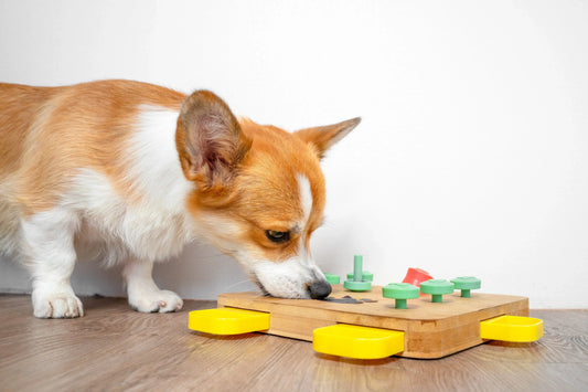 dog toys