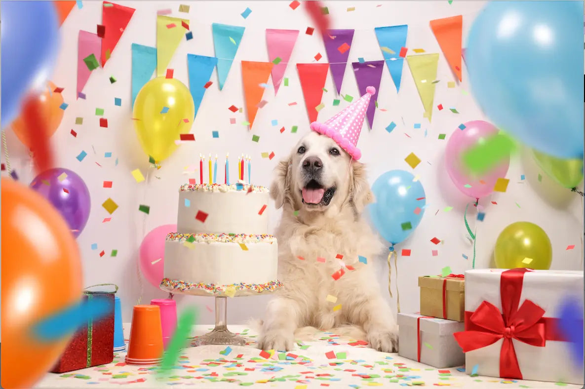 Dog Birthday Pawty Supplies