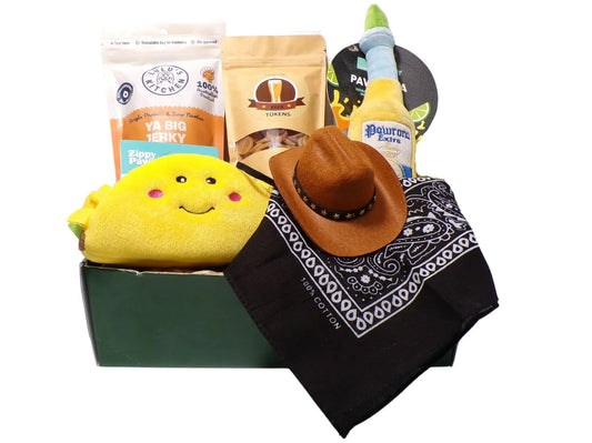 Dog Gift Box with fun treats and plush toys with dog party hat and bandana