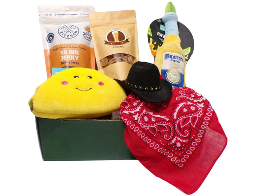 Gift Box for dogs containing treats and toys and party hat and bandana