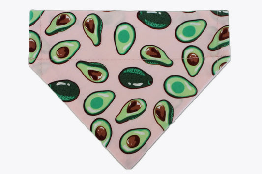 Avocado bandana for cats and dogs