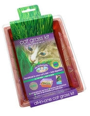 cat gift