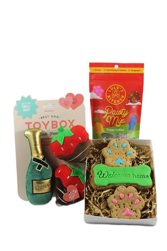 Welcome Home Pawty Pack with toys, biscuits, and treats